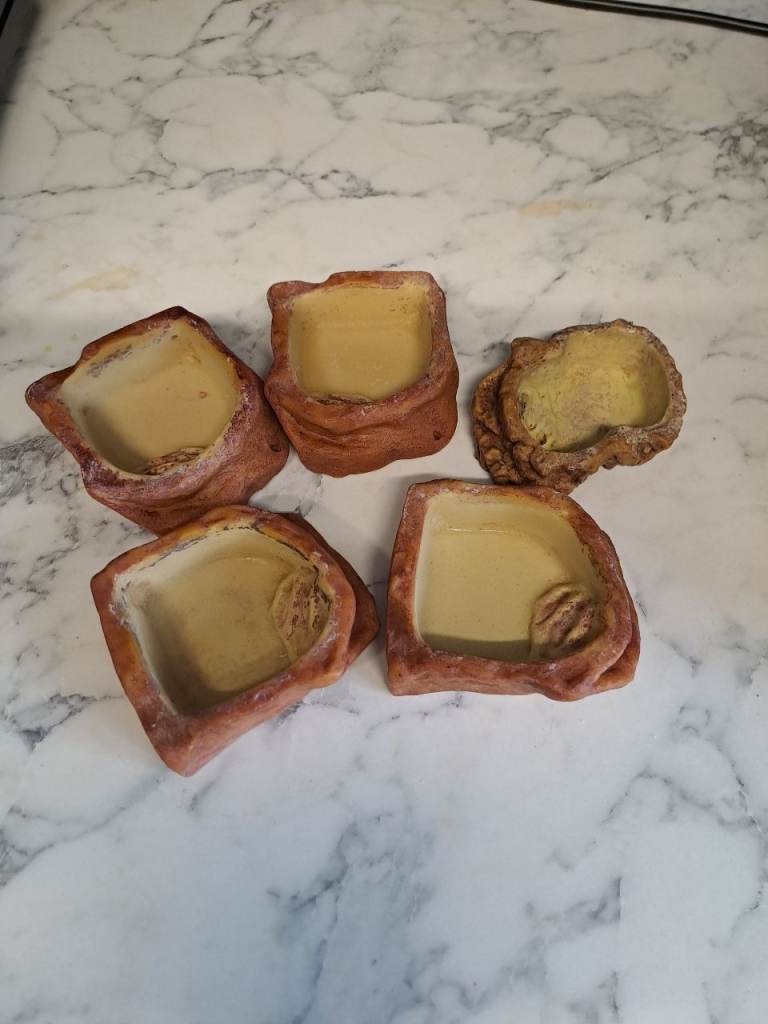 5 x reptile/snake food or water bowls