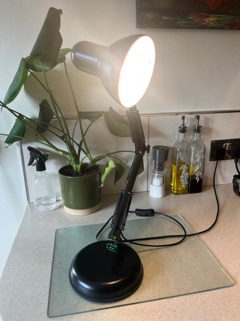 Black Adjustable Desk Lamp – Good Condition