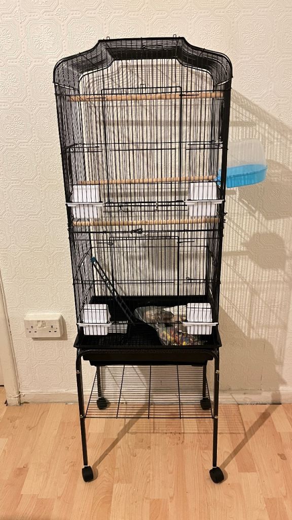 Massive Bird cage 