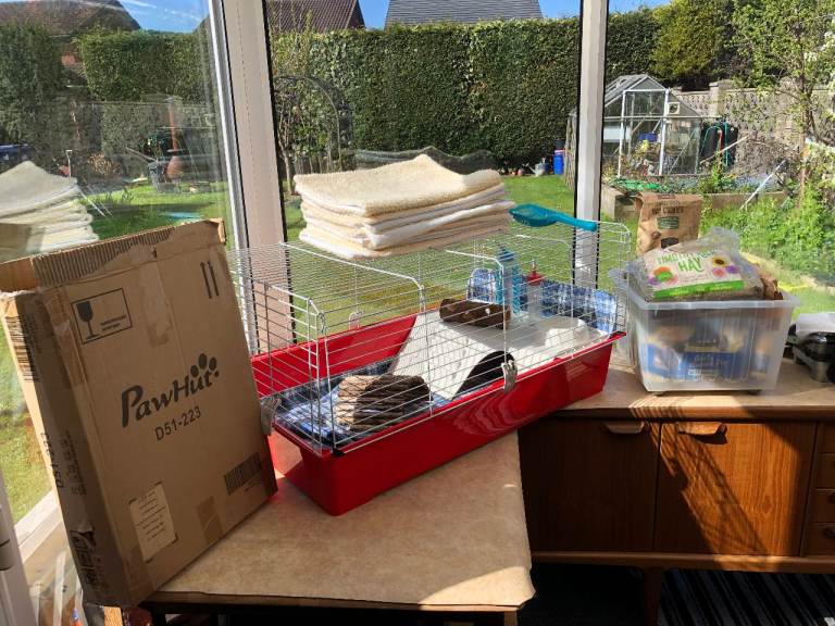 FREE Guinea pig or small furry Cage  plus paraphanalia, Run and Wooden Cage. 