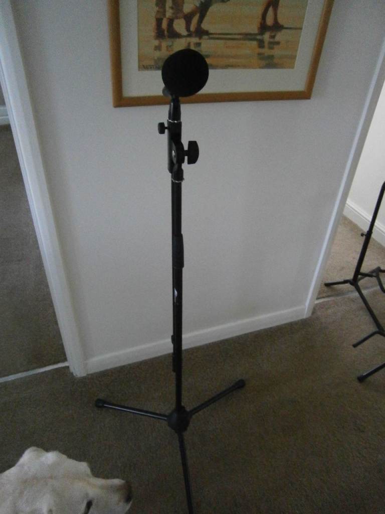 A Musicians Microphone stand.