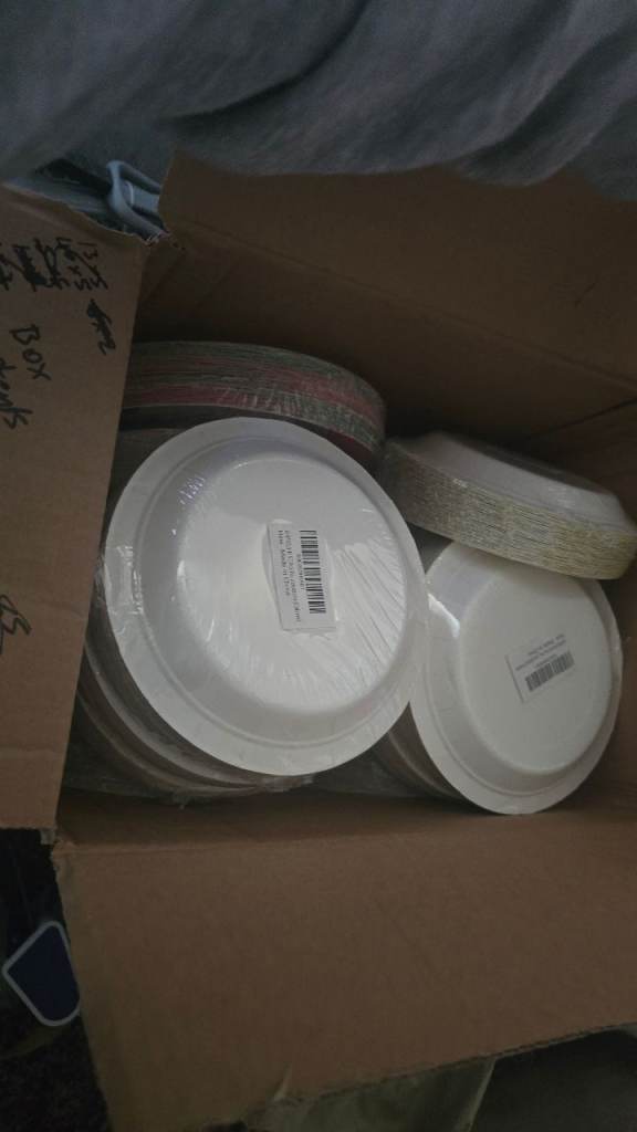 New White Paper Plates - Large Pack