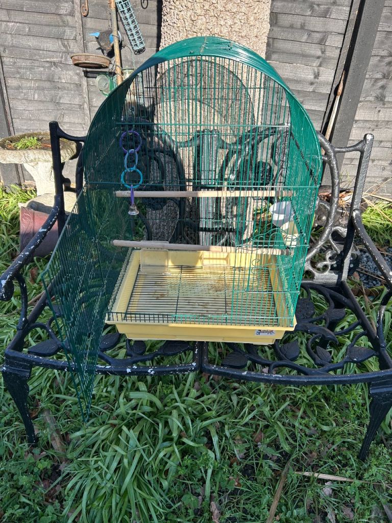 Bird cage 
