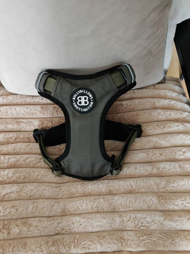 Dog Harness