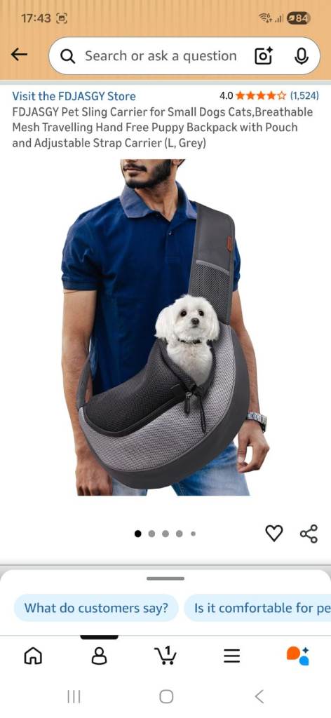 Pet carrier 