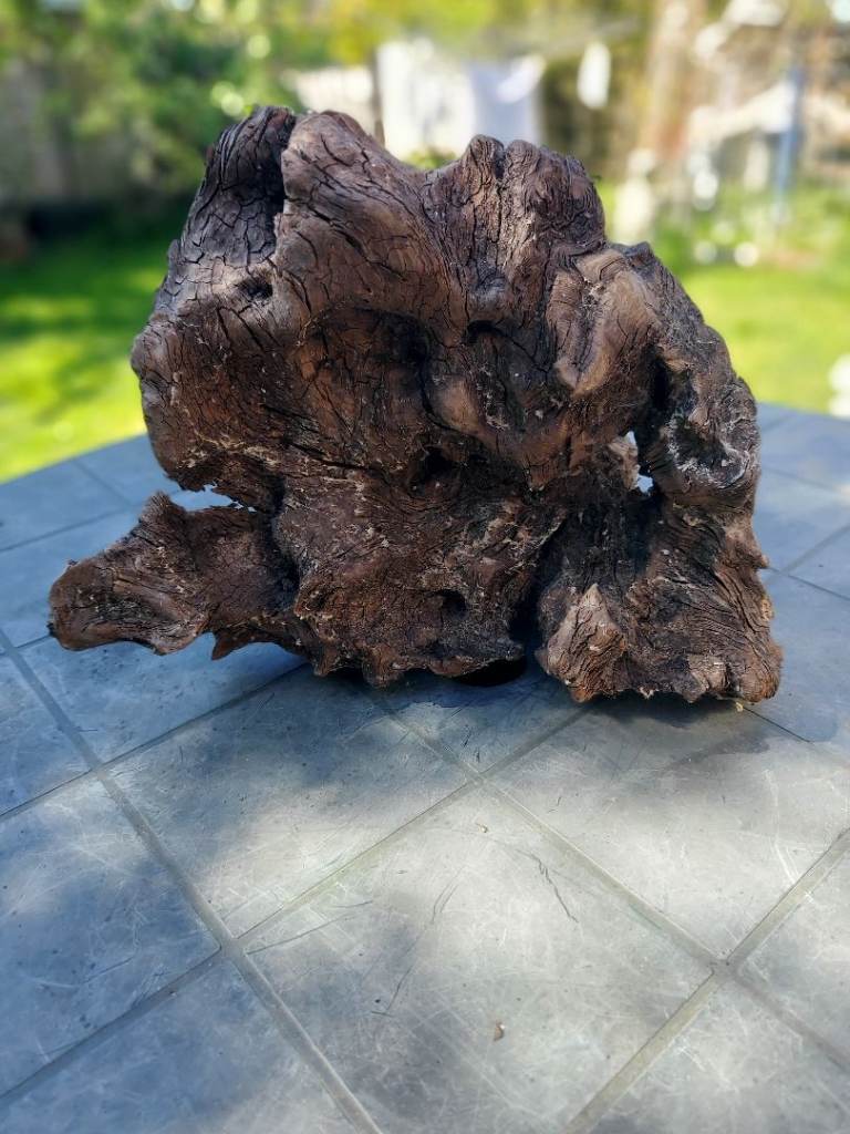 Medium Size Drift Wood For Sale! 
