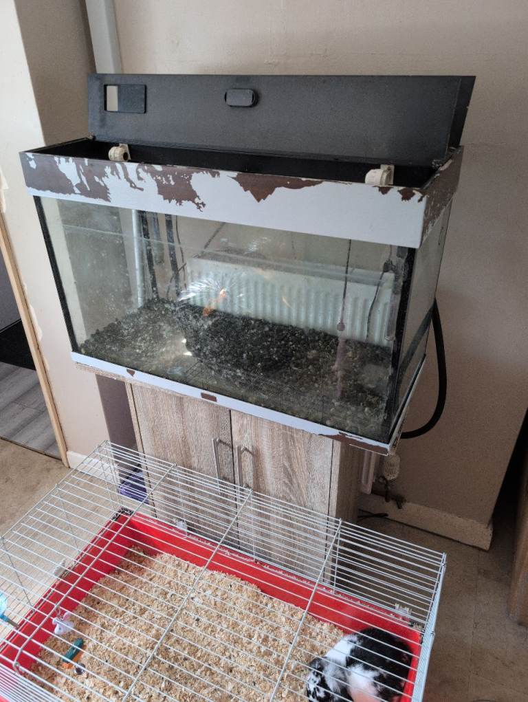 Used Glass Aquarium with Lid – Fair Condition