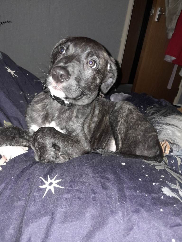 Beautiful boy