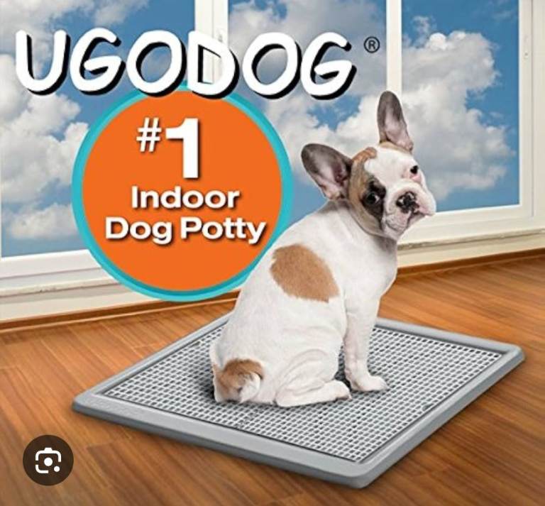 UgoDog Indoor Dog Potty Training System – Large – Good Condition