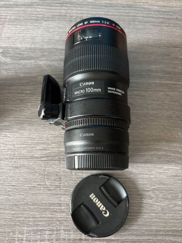 Canon EF 100mm f/2.8L Macro IS USM + Canon EF-EOS R Adapter + Tripod Collar