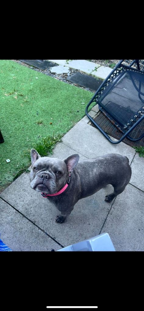 New home required asap