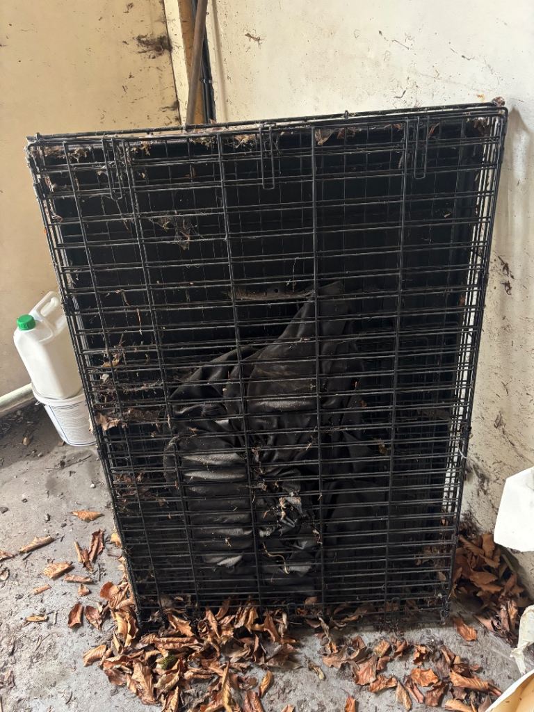 Large dog crate and cover