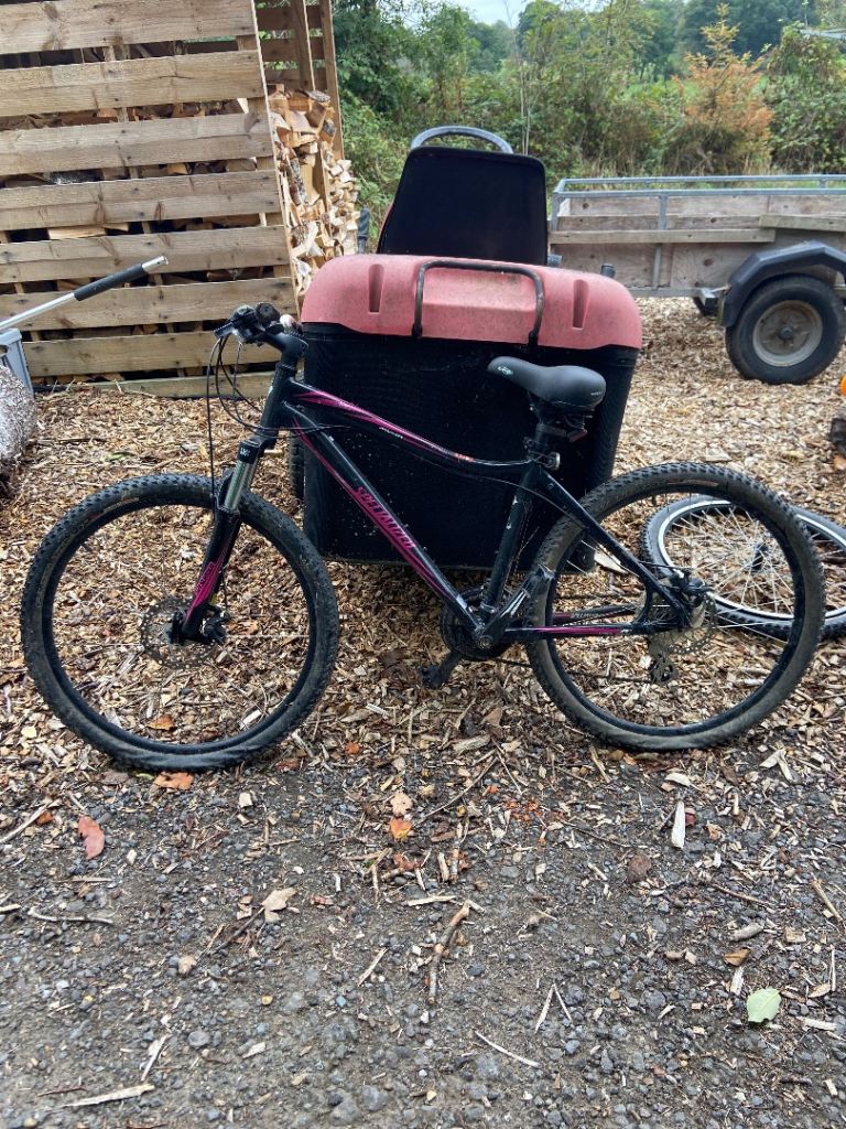 Specialized Mountain Bike