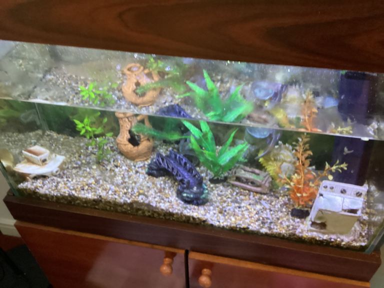 Tropical fish tank | in Linlithgow, West Lothian | Gumtree