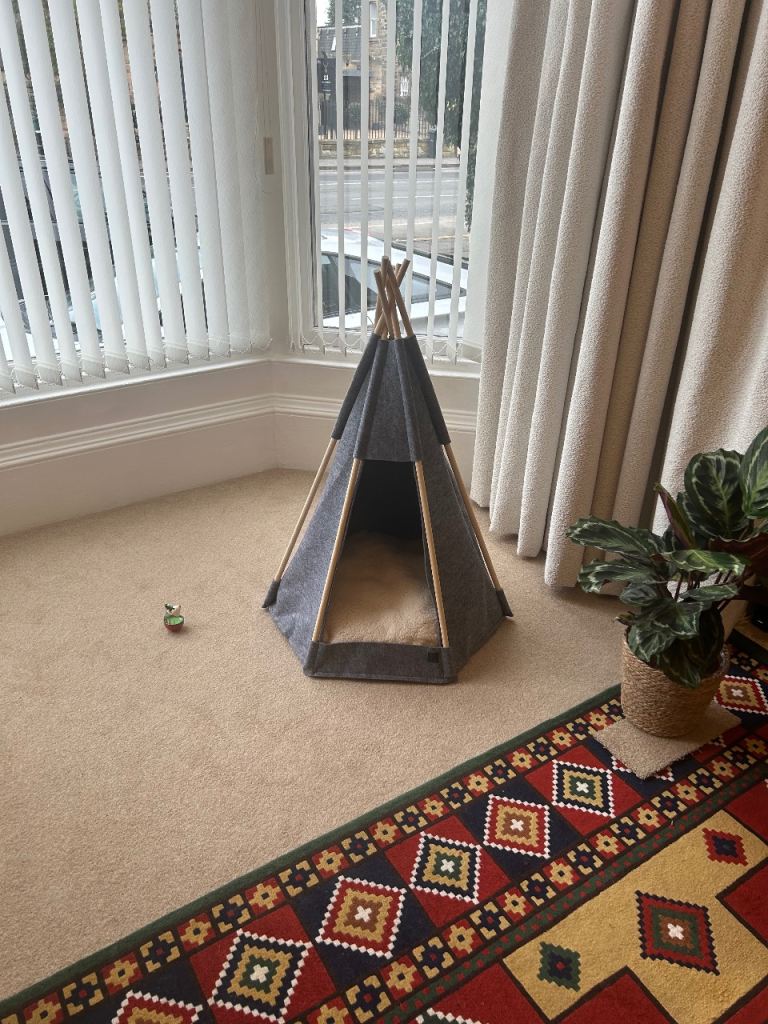 Pet wigwam