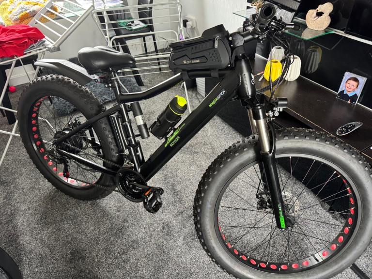 Electric mountain bike 