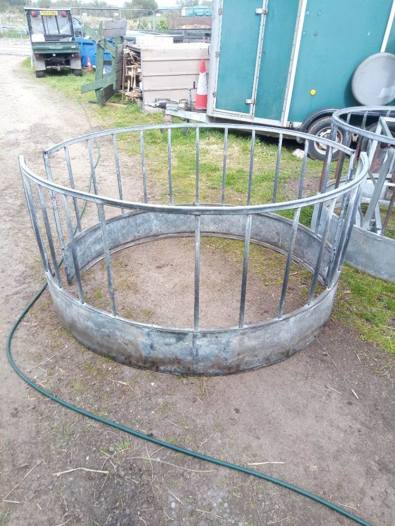 Sheep or horse ring feeder 