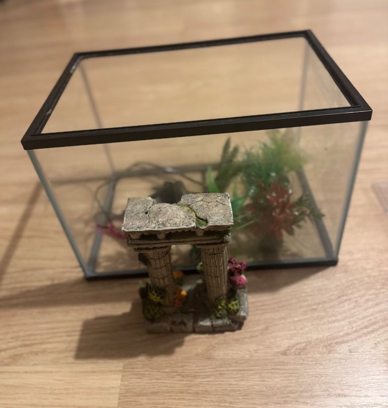 Fish Tank