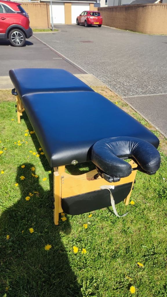 Portable Massage Table with Adjustable Height and Carry Bag