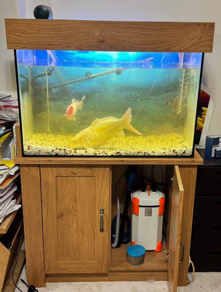 Fish Tank/Cabinet with Fish