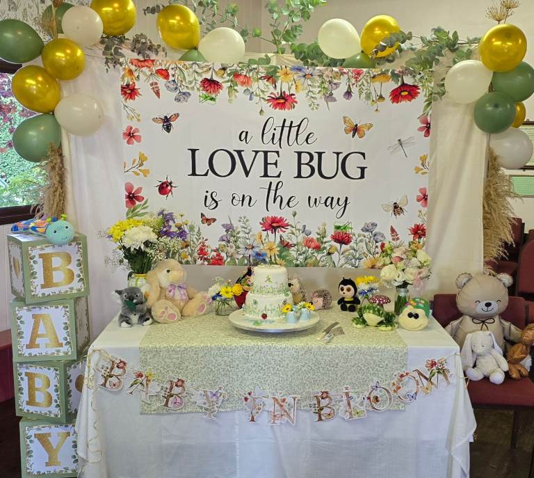Baby Shower 'Love Bug' decorations- all good condition.