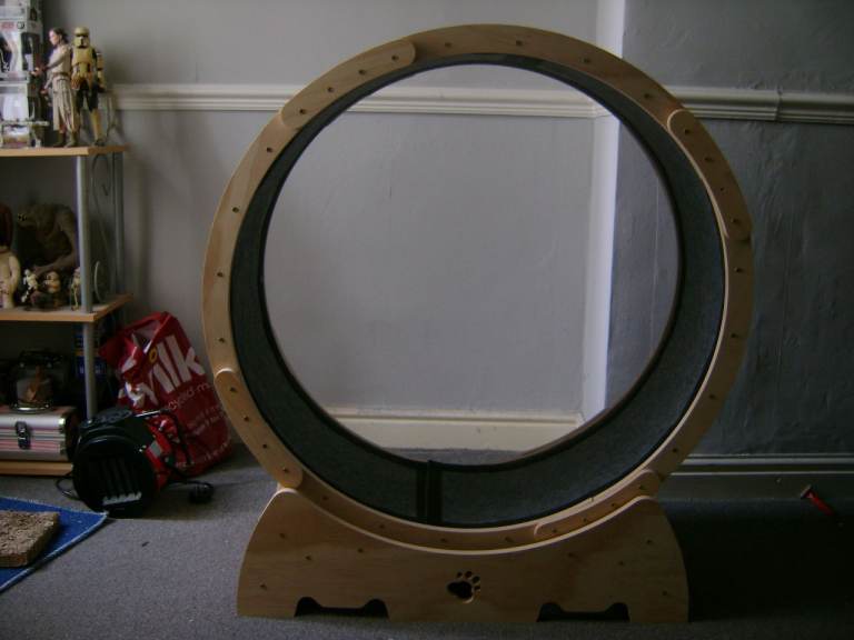 Cat Exercise Wheel