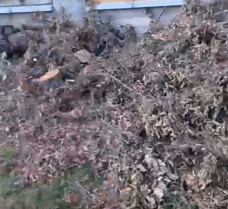 Garden Waste – Branches, Leaves, and Tree Trimmings