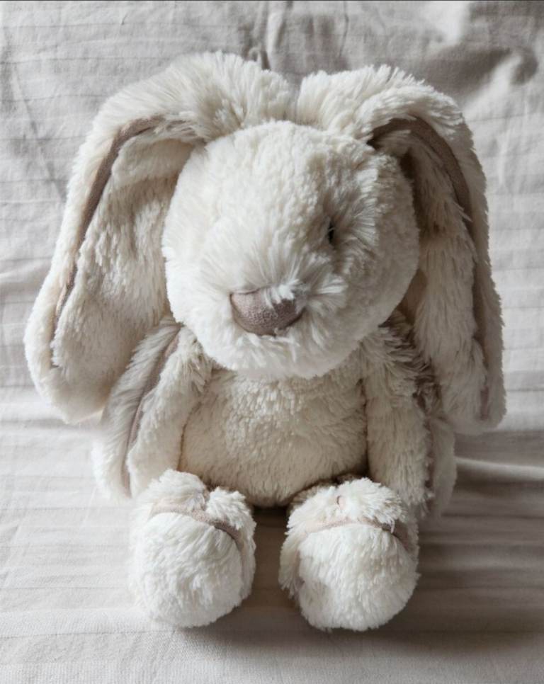 Jellycat Plush Bunny Soft Toy and larry the lobster – As Good As New