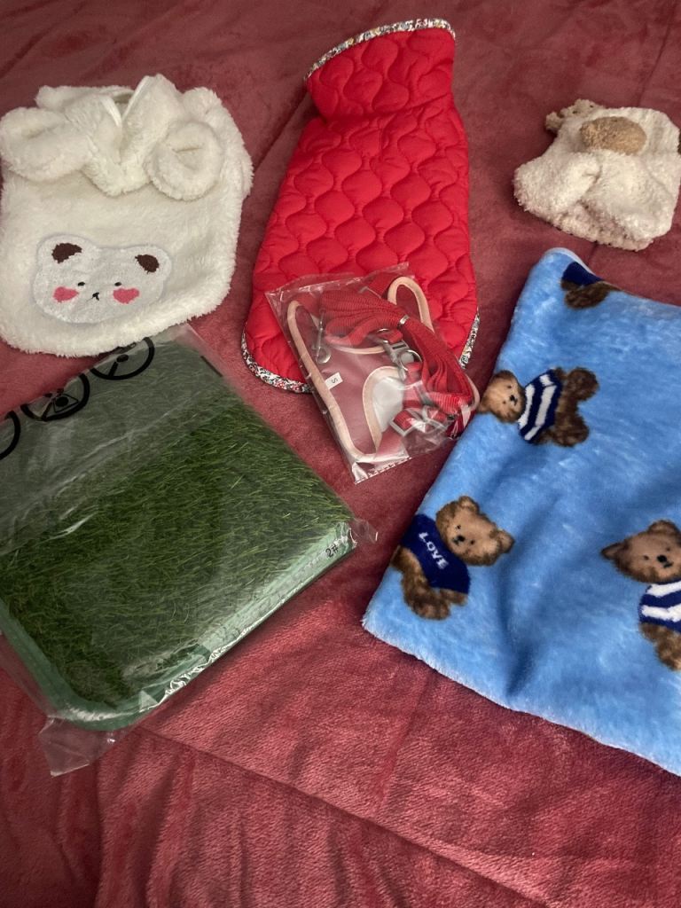 Puppy bath and puppy stuff