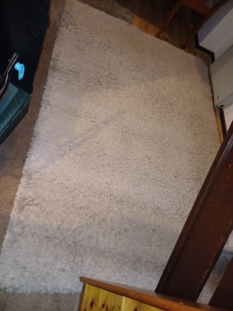 Large shaggy rug
