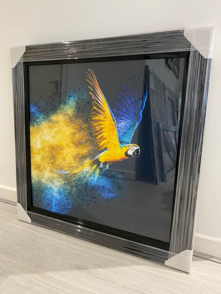 *NEW* Flying Blue & Yellow Parrot – Liquid Art Finish – Black Framed Picture (85 x 85cm)