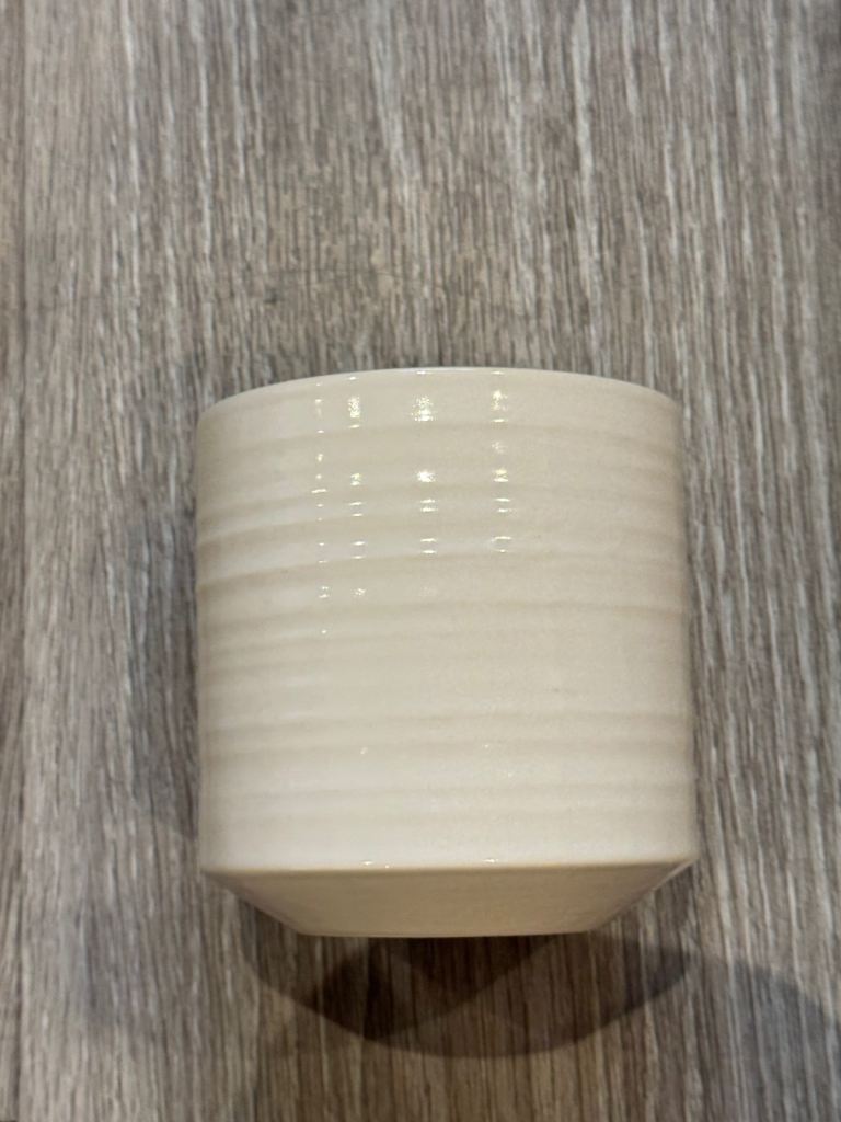 White ceramic plant pot