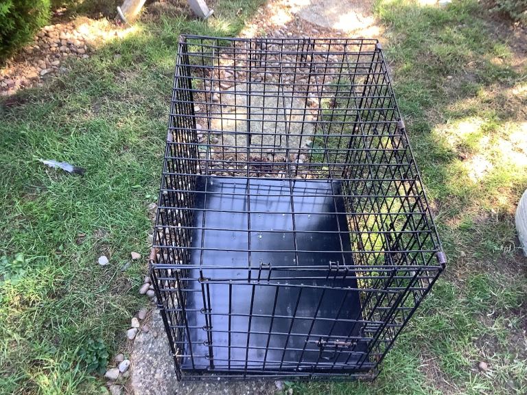 Dog cage 18 in w x 24 ins L x 21 in H