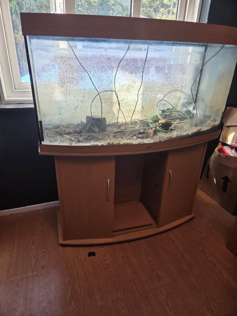 Large Curved Glass Aquarium Fish Tank with Wooden Stand
