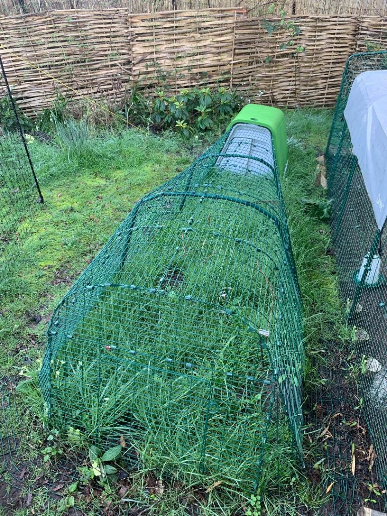 Hardly Used Omlet Chicken Coop