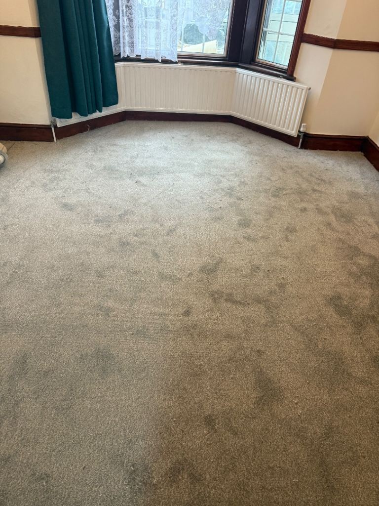 Carpet fitting and supply 