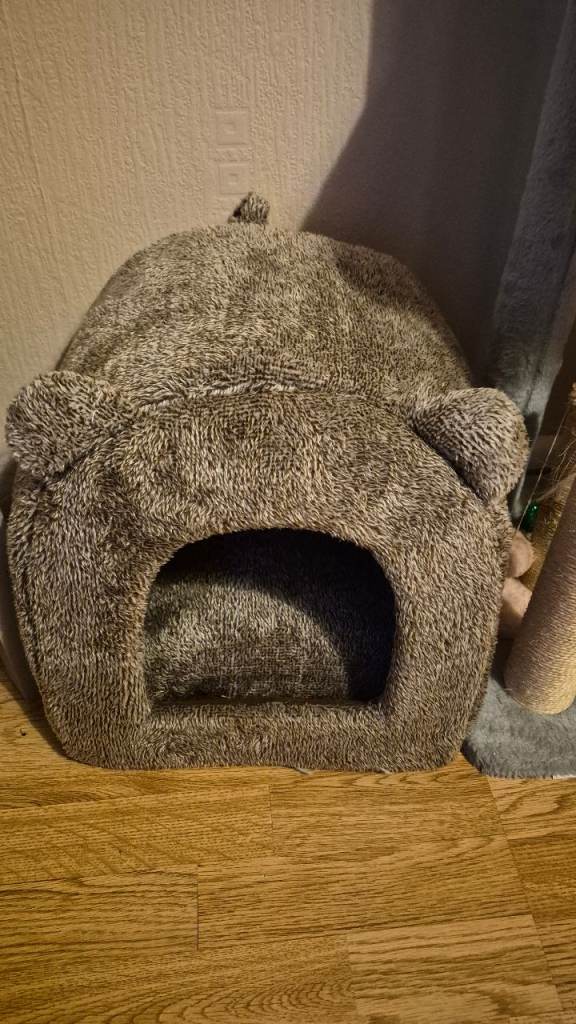 Cat bed £15