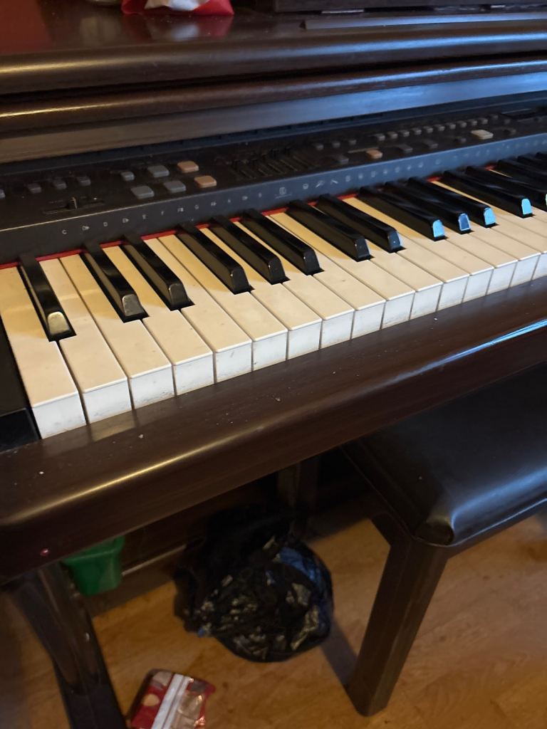 image for Technics SXPR250 digital piano 