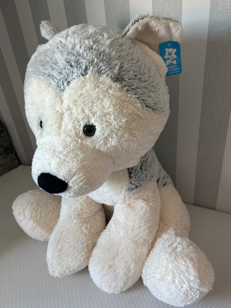 Large husky teddy 