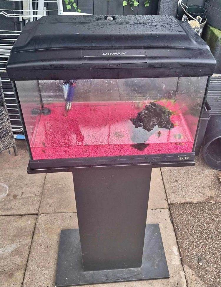 Fish tank 
