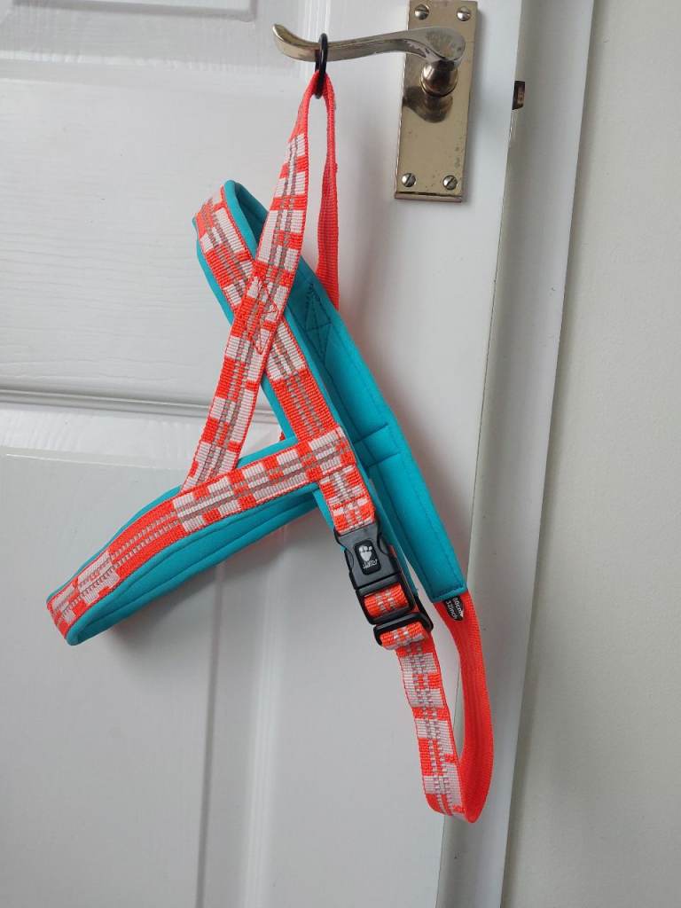Dog Harness 