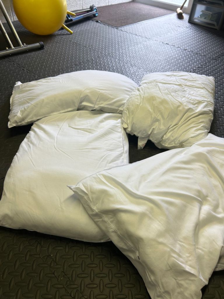 Free pillows x4