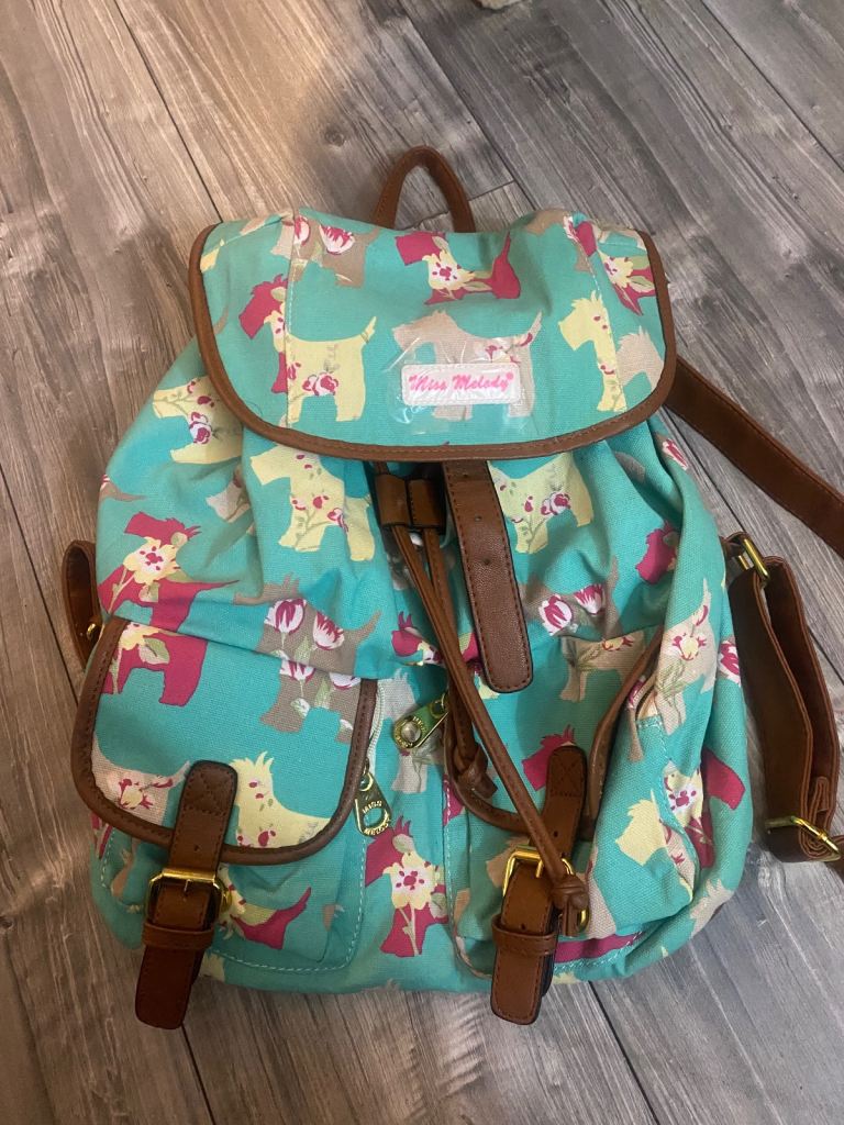 Brand New gorgeous Miss Melody bag