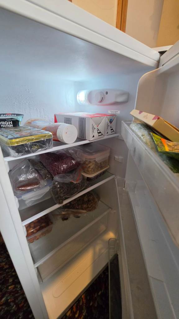 Bush Freestanding Freezer – Good Condition