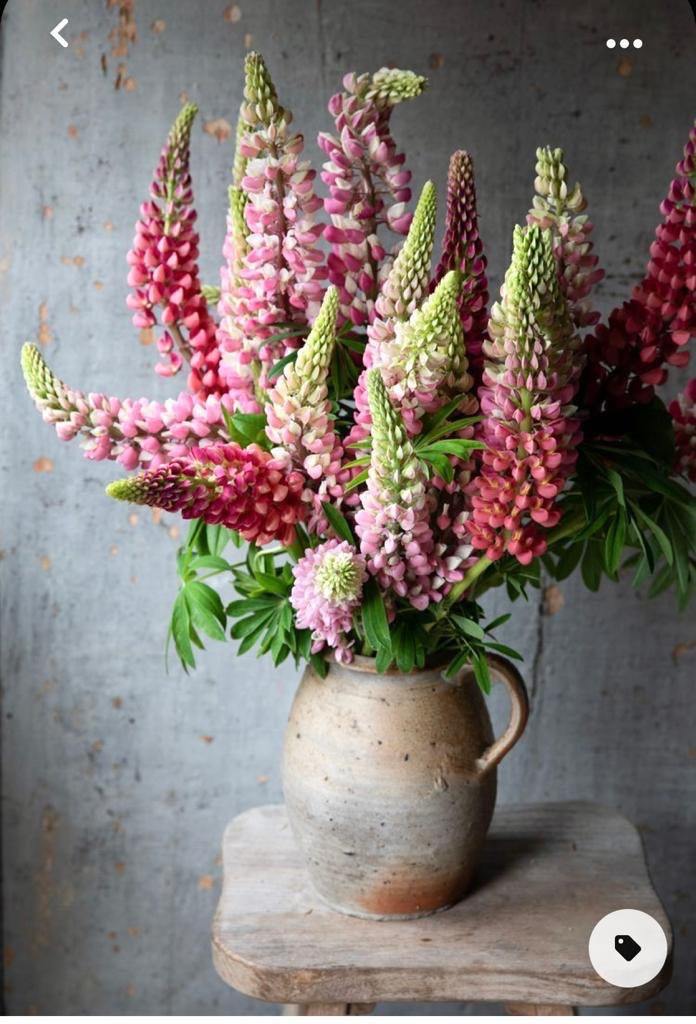 Full Body Swedish Massage In Winchester City Centre