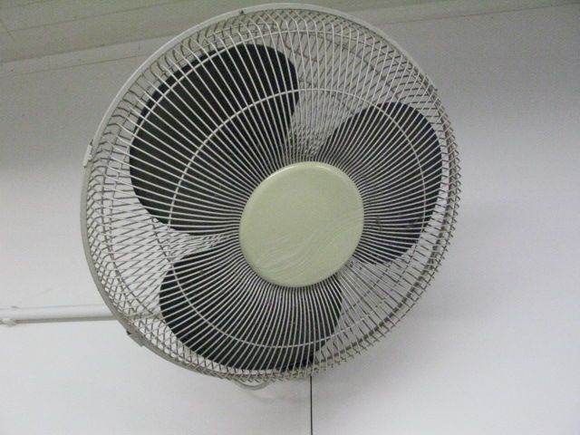 Large Wall Fan . Size - 16 inches . Power -50 Watt