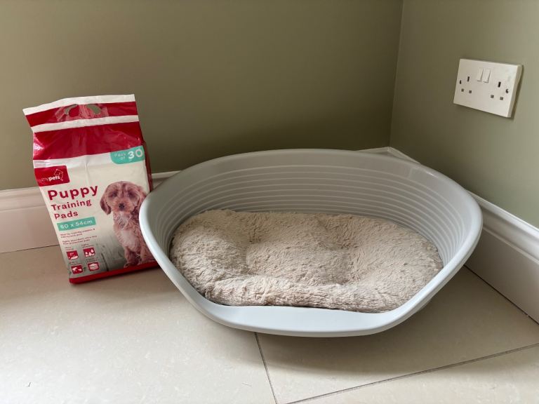 Puppy Bed and Puppy Pads