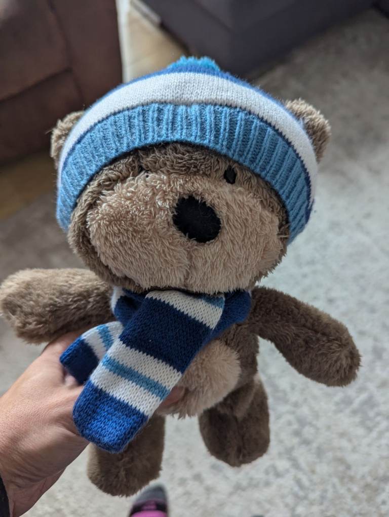 Cute Teddy