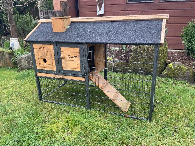 Hutch for Rabbit or Guinea Pig (possibly deliver) with extras 