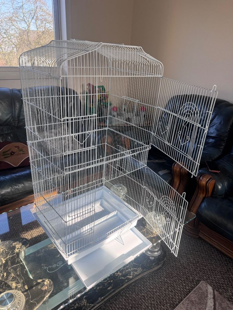 Birds Cage